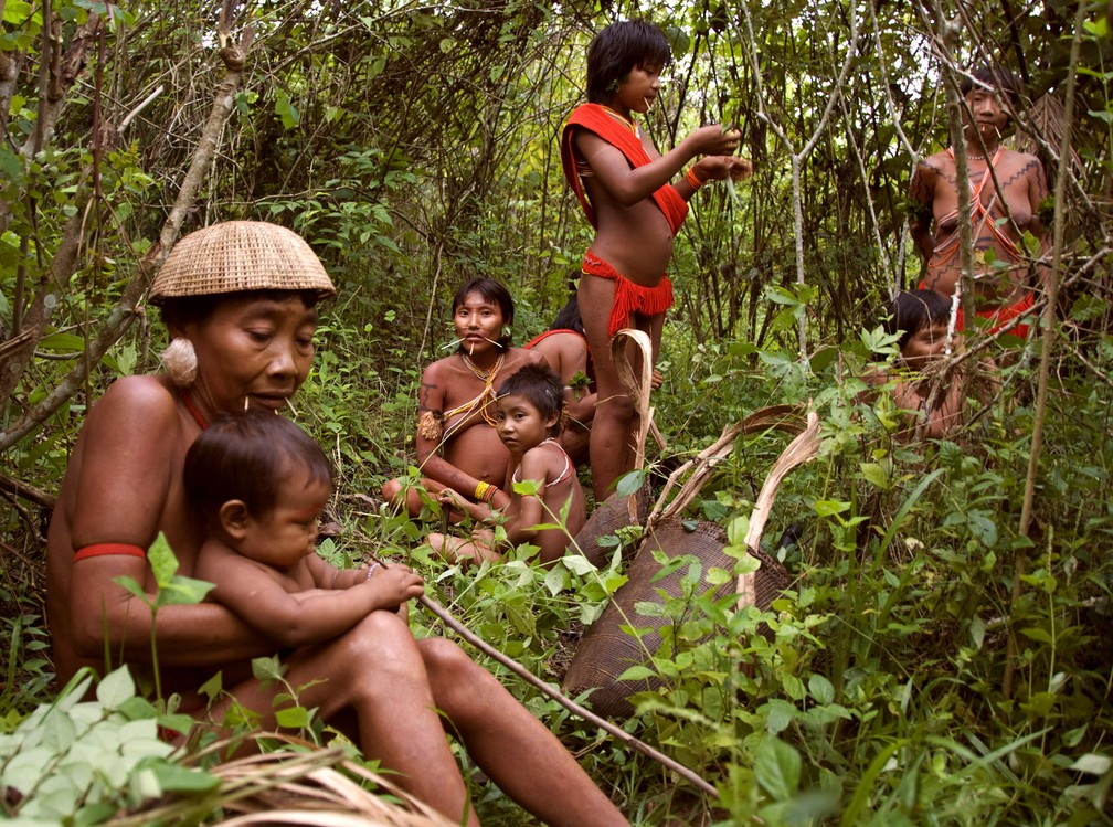 Povo da Terra Indígena Yanomami é considerado de recente contato com população não-indígena — Foto:  Fiona Watson/Survival/Arquivo