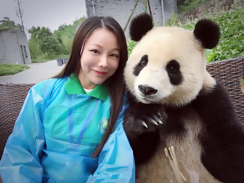 Mais uma pose do panda