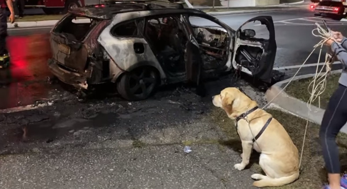 Duas pessoas e cachorro escapam de incêndio que destruiu carro em Guaratinguetá - Vimarsana News