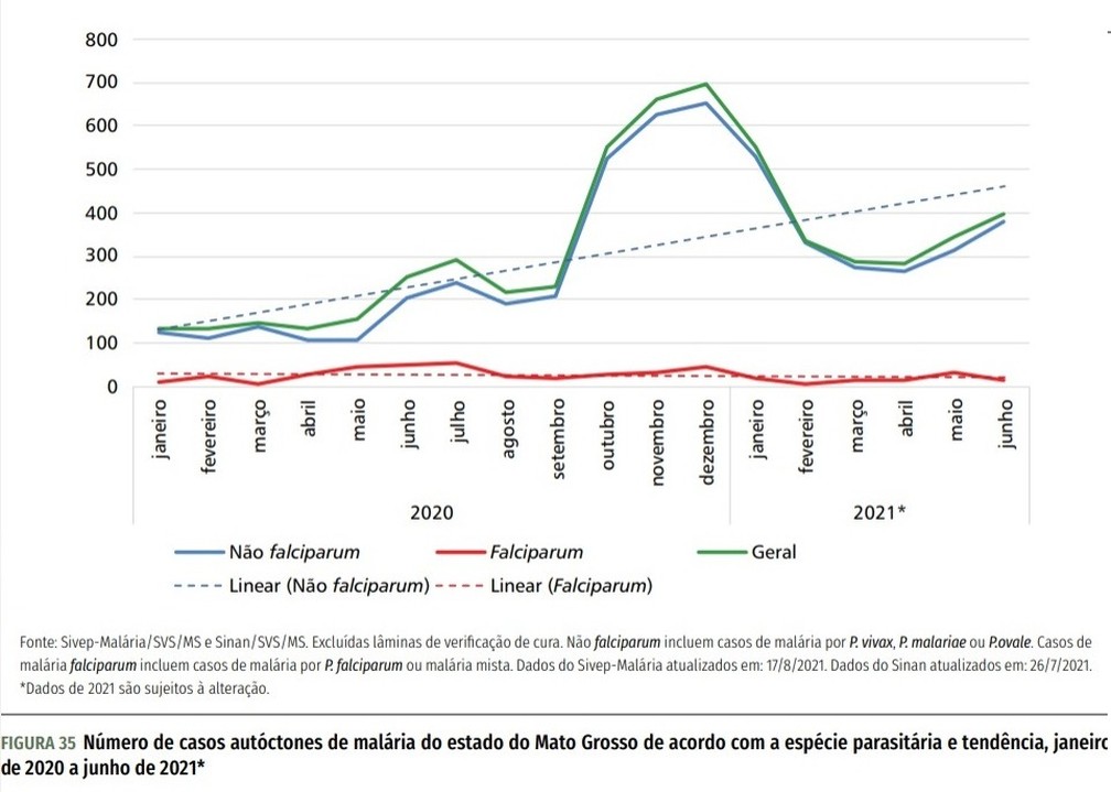Número de casos autóctones de malária em Mato Grosso de acordo com a espécie parasitária e tendência, janeiro de 2020 a junho de 2021 — Foto:  Ministério da Saúde