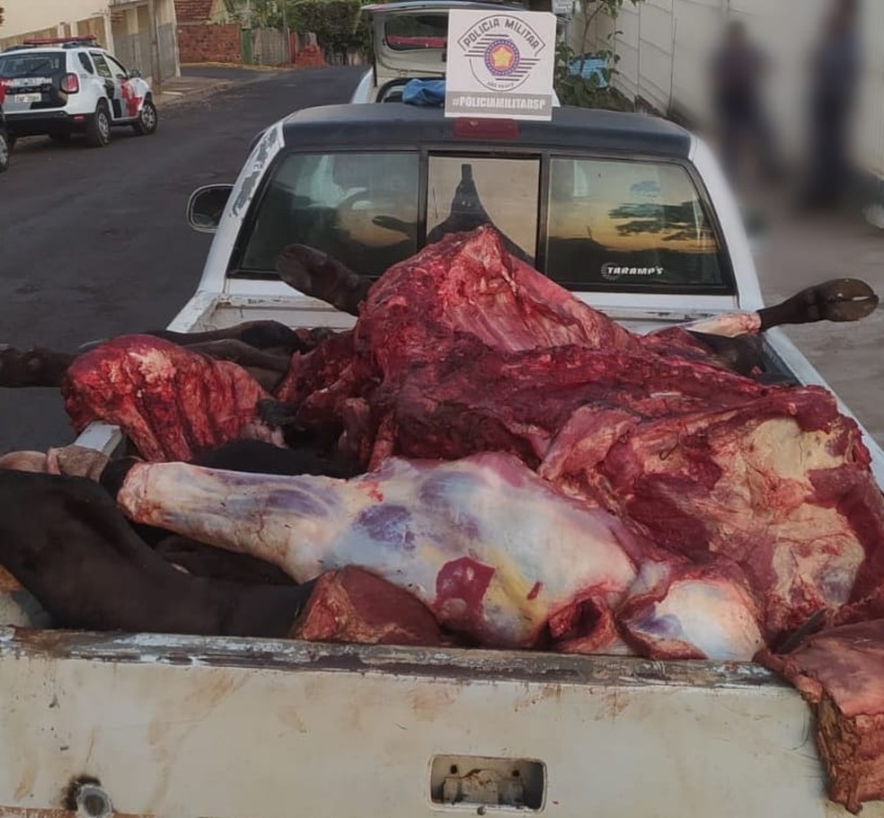 Homens foram presos em flagrante por furto de gado nesta terça-feira (26) — Foto: Polícia Militar