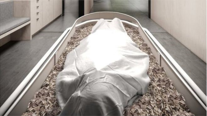 A empresa americana que defende ‘compostagem humana’ como alternativa ‘verde’ a enterro ou cremação thumbnail