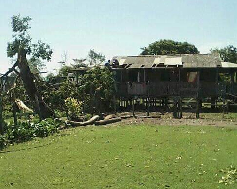 Casas ficaram danificadas apÃ³s vendaval na comunidade PindurÃ­, em SantarÃ©m  â Foto: ReproduÃ§Ã£o/Redes Sociais