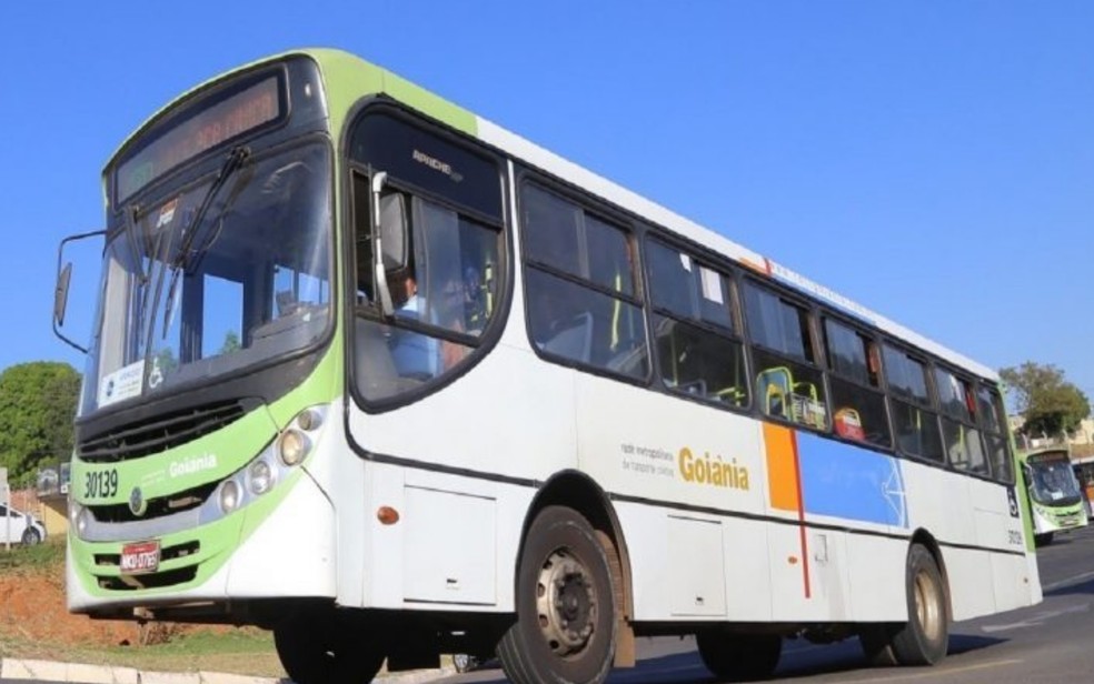 Ônibus do transporte coletivo — Foto: Prefeitura de Goiânia/Divulgação