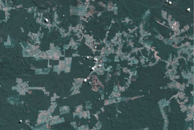 BBC - A grilagem alimenta o mercado de terras na Amazônia, gerando uma corrida incessante por novas áreas (Foto: ISA via BBC)
