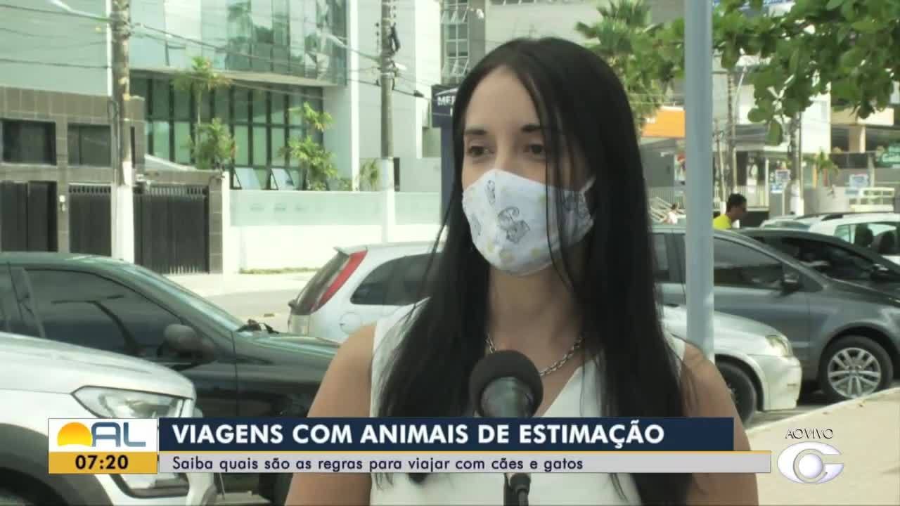 Saiba quais são as regras para viajar com cães e gatos
