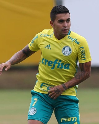 Dudu Palmeiras (Foto: Cesar Greco / Ag. Palmeiras / Divulgação)