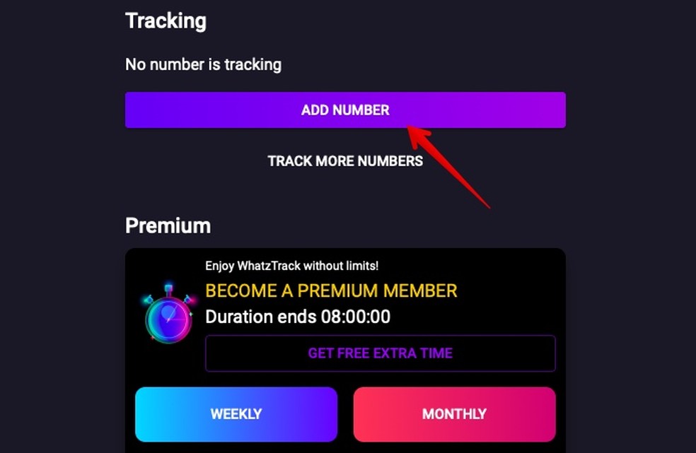 Cadastrando número no Whatztrack — Foto: Reprodução/Helito Beggiora
