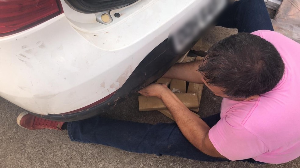 Droga foi encontrada em um veículo estacionado na rodovia próxima ao distrito do Universo — Foto: Polícia Civil/Divulgação