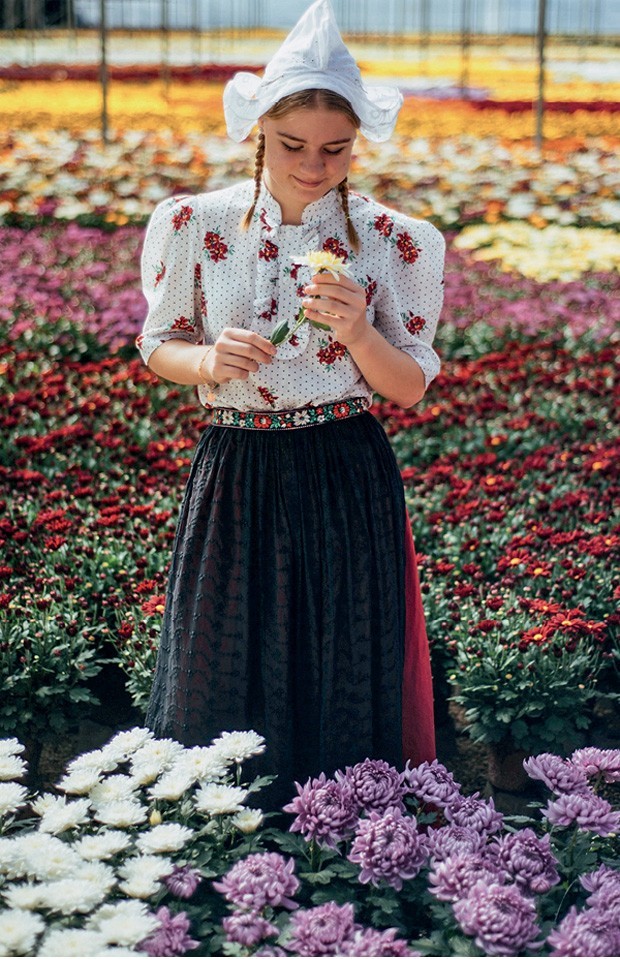 Os campos de flores podem ser visitados o ano todo (Foto: Divulgação) Os campos de flores podem ser visitados o ano todo (Foto: Divulgação)