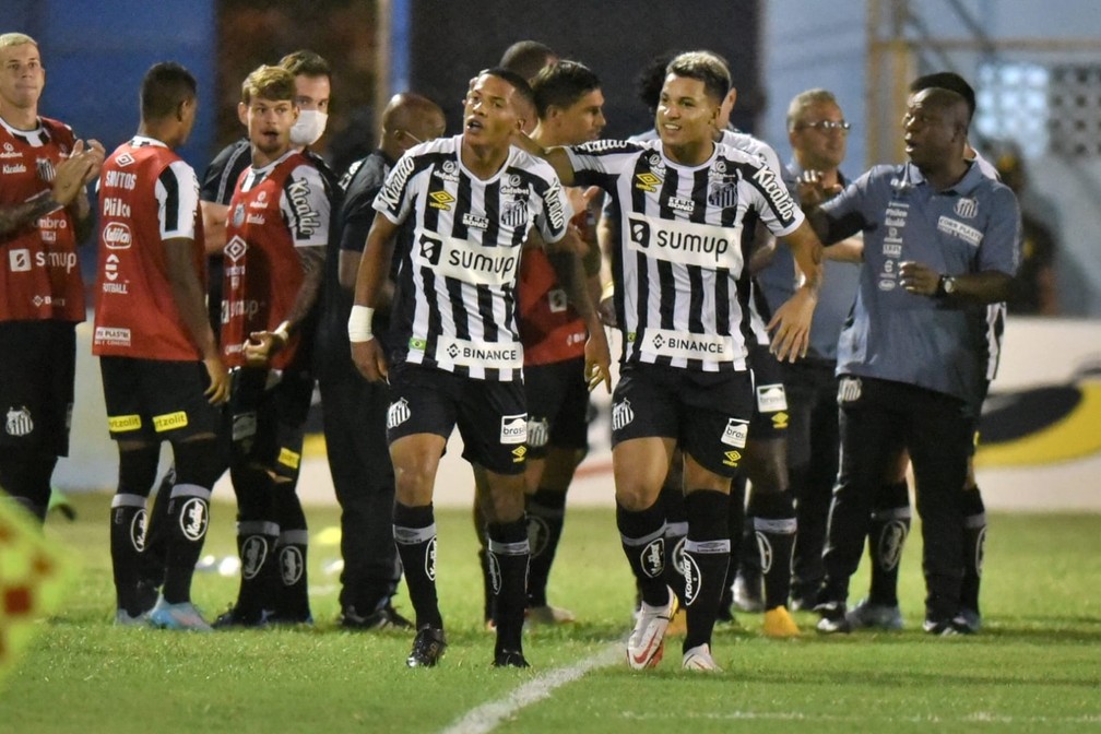 Jogadores comemoram gol contra o Salgueiro — Foto: Ivan Storti/SantosFC