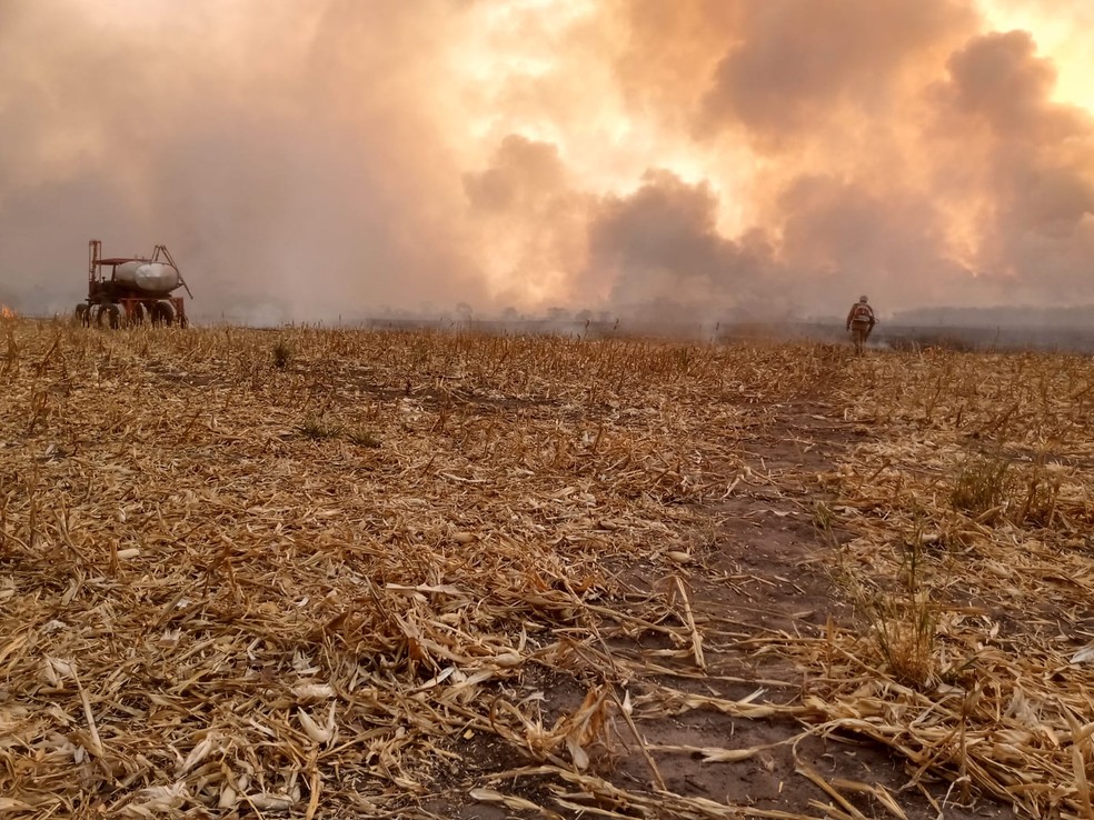 Incêndio atinge uma área de fazendas em Dom Aquino há quase uma semana e é combatido por bombeiros — Foto: Corpo de Bombeiros de Mato Grosso