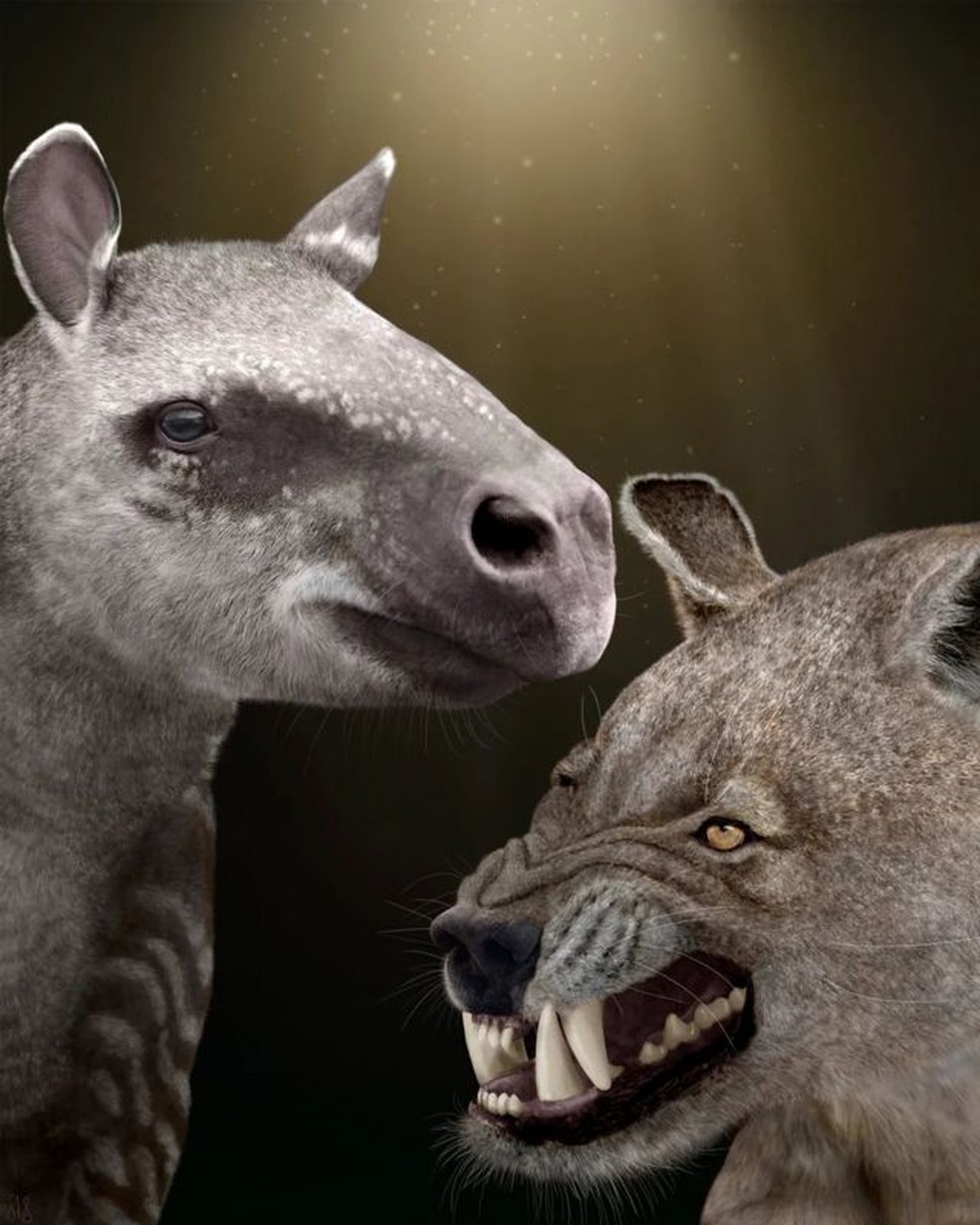 Grandes herbívoros como o Hyrachyus (à esquerda), e grandes carnívoros como o Arctocyon (à direita), evoluíram depois que os dinossauros foram extintos — Foto: Sarah Shelley via BBC