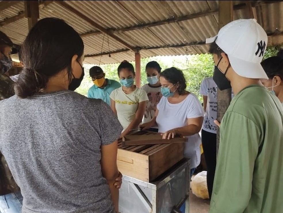 Jovens do semiárido piauiense participam de aulas sobre apicultura — Foto: Reprodução/UFPI