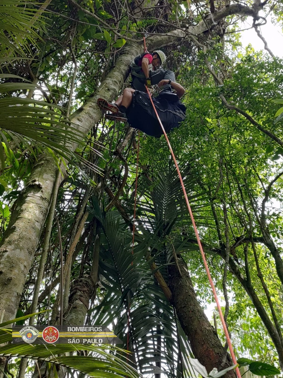 Homem é resgatado após saltar de paraglider e ficar preso em árvore em Caraguatatuba. — Foto: Divulgação/Bombeiros