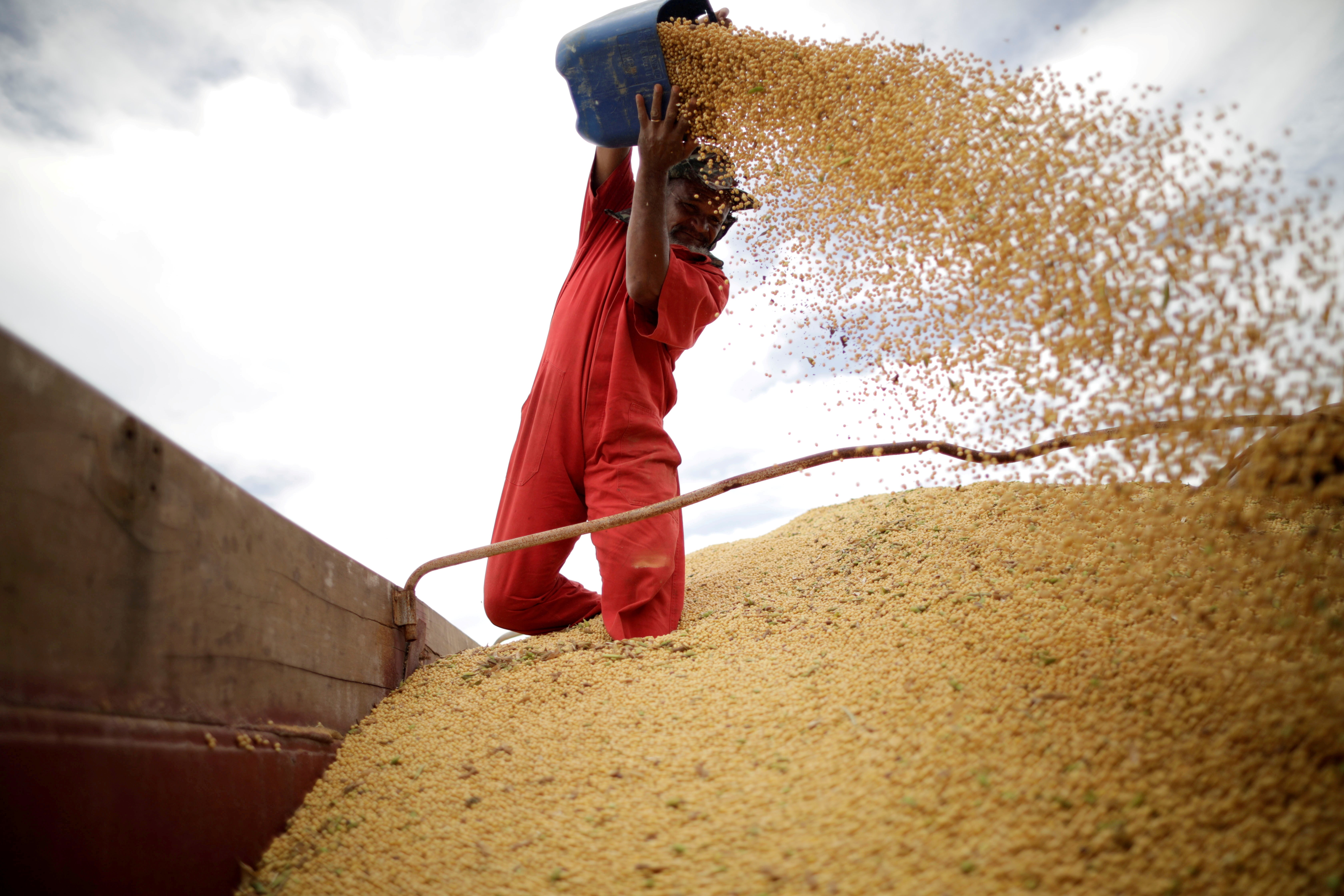 Trabalhador inspeciona grãos de soja em fazenda de Campos Lindos, Tocantins (Foto: REUTERS/Ueslei Marcelino)