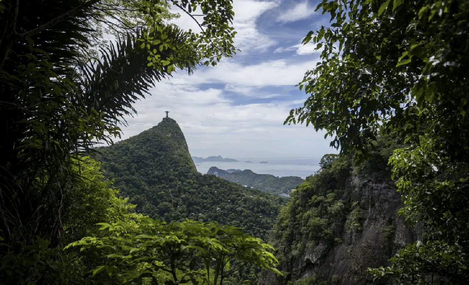 Floresta da Tijuca:  o mais visitado do Brasil, com quase 3 milhões de visitas por ano.