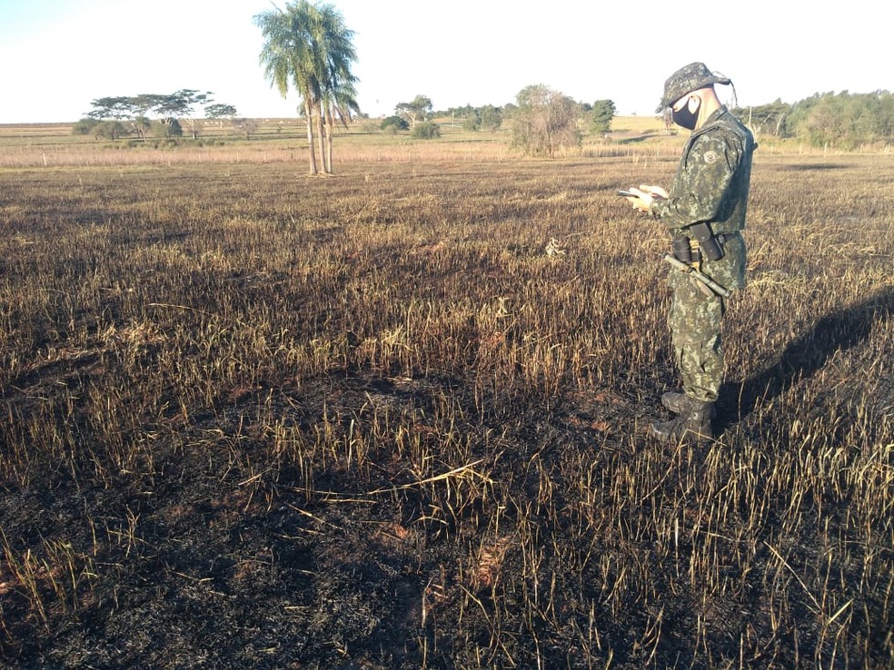 Fiscalização constatou queimadas em propriedades rurais em Rosana — Foto: Polícia Militar Ambiental
