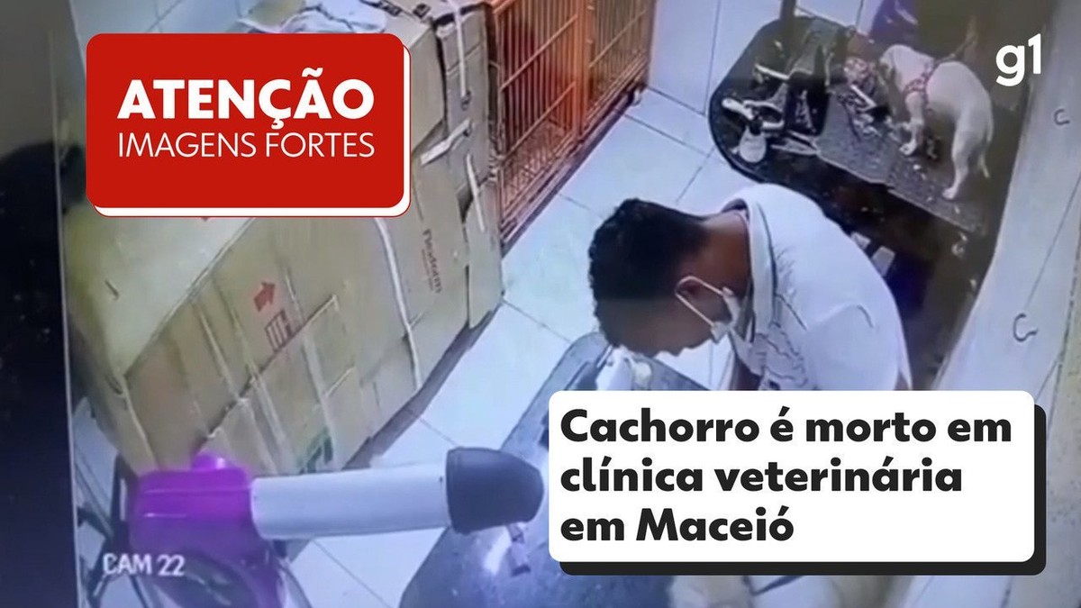 VÍDEO: Cachorro deixado para tosa é morto em clínica veterinária de Maceió