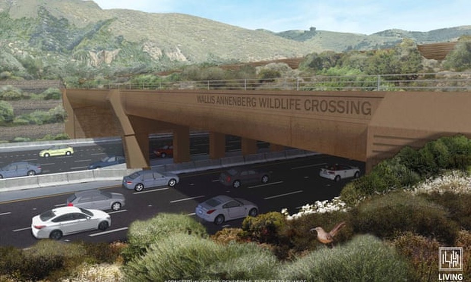 Ponte de vida selvagem de Wallis Annenberg, em Los Angeles, Califórnia