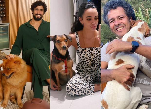 Renato Goés, Giovana Cordeiro e Marcos Palmeira com os cachorros que são tutores (Foto: Instagram/@renatogoess @cordeirogi @marcospalmeiraoficial/Reprodução)