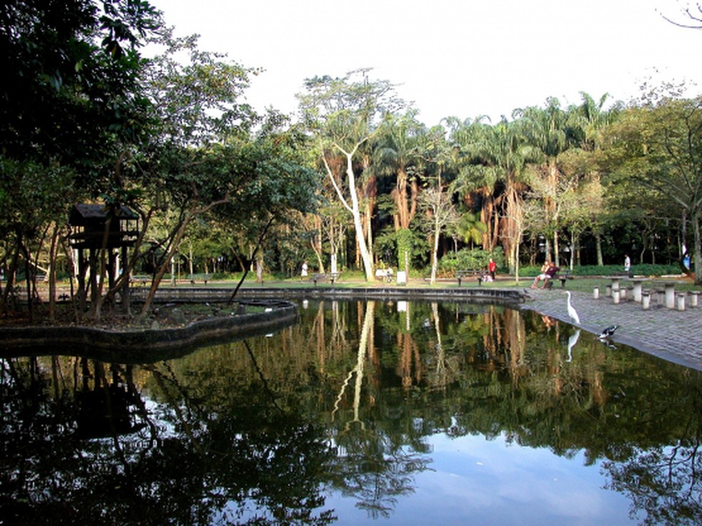 Jardim Botânico de Santos, SP, reabre parcialmente ao público — Foto: Divulgação/Prefeitura de Santos