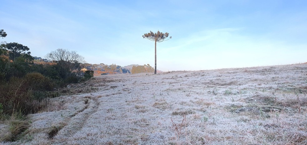 Manhã de segunda-feira foi gelada em São Joaquim — Foto: Mycchel Legnaghi/ São Joaquim Online