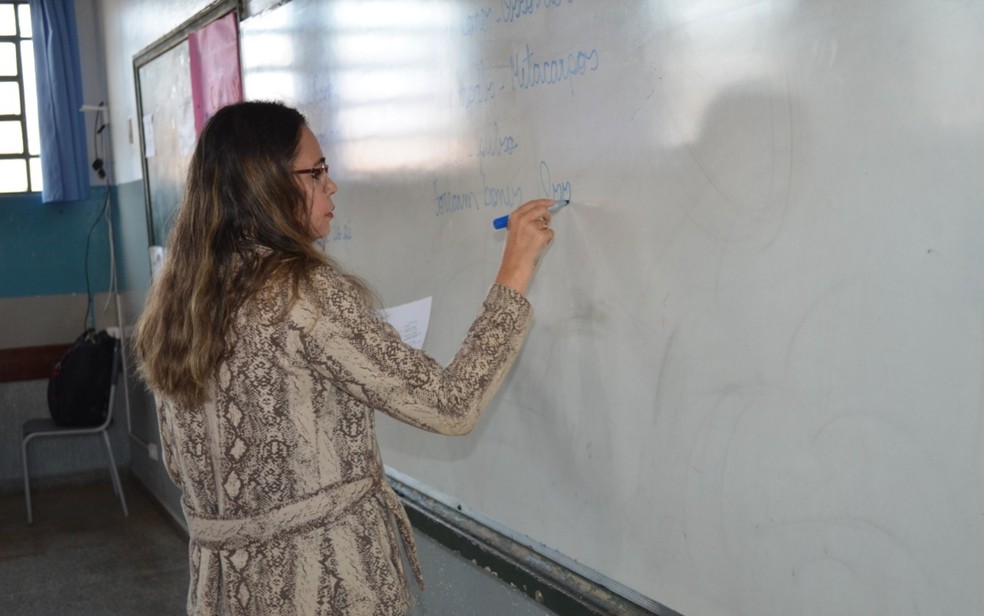 Professora de escola da rede estadual — Foto: Governo de Goiás/Divulgação