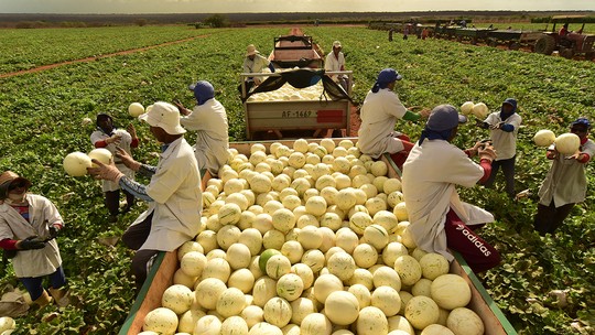 Números de trabalhadores no agro é o mais alto desde 2015