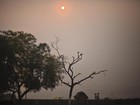 Camada de poluição provoca neblina na Índia