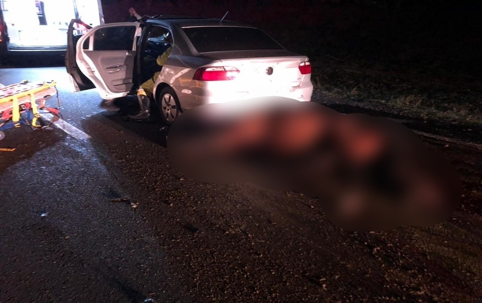 De acordo com a Polícia Rodoviária, o cavalo foi atropelado duas vezes por dois veículos distintos  — Foto: Redes Sociais/Reprodução