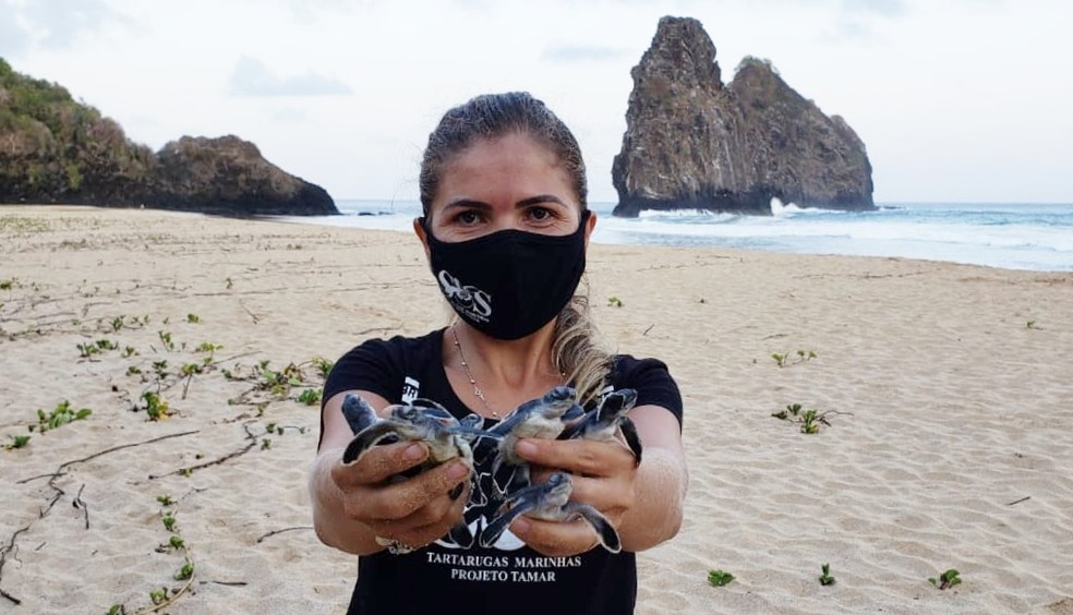 A bióloga Rafaely Ventura contabilizou as tartarugas de um ninho na Cacimba do Padre — Foto: Ana Clara Marinho/TV Globo