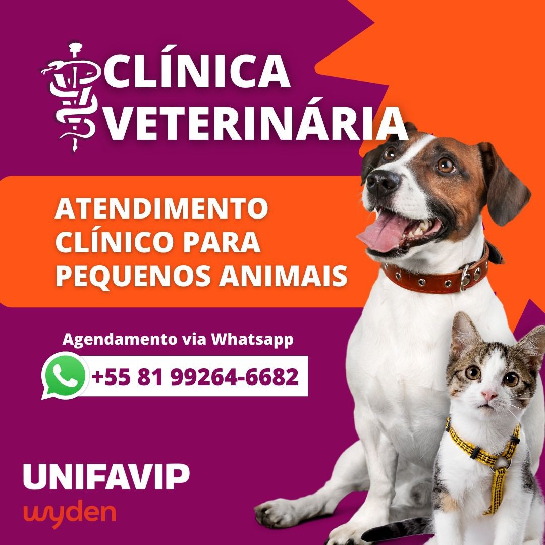 Centro universitário de Caruaru oferece atendimento veterinário gratuito