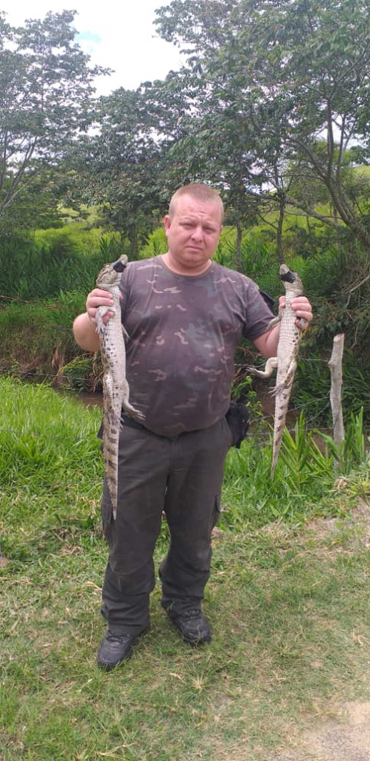 Três jacarés são resgatados em Barra Mansa | Sul do Rio e Costa Verde | G1