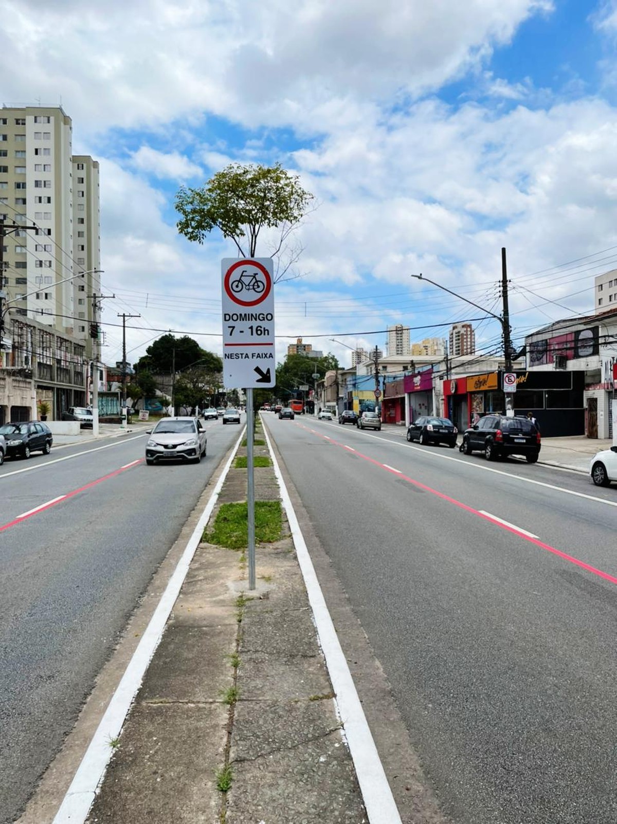 Avenida Corifeu de Azevedo Marques, Zona Oeste de SP, terá ciclofaixa