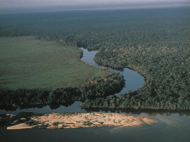 Vista aérea da floresta Amazônia na região dos arredores do rio Guaporé (Foto: André Edouard/Arquivo/AFP)