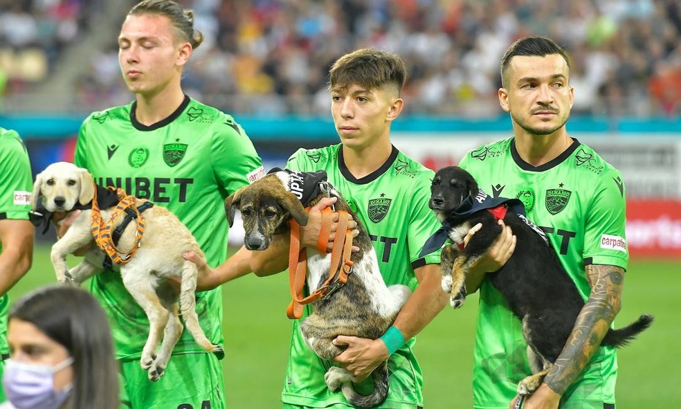 Federação Romena de Futebol decidiu que os jogadores entrarão em campo acompanhados por cães que foram abandonados — Foto: Reprodução facebook/ Digi Sport