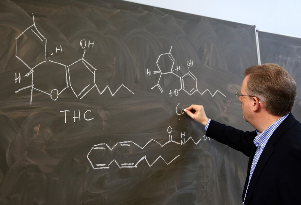 Em foto de dezembro de 2014, professor alemão desenha a estrutura do THC e outro canabinoide (Foto: Bernd Wuestneck/DPA/AFP/Arquivo)
