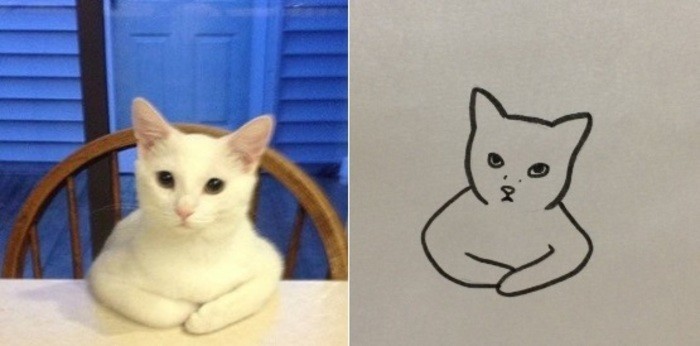 Poorly drawn cat (Foto: @poorlydrawncat / Twitter)