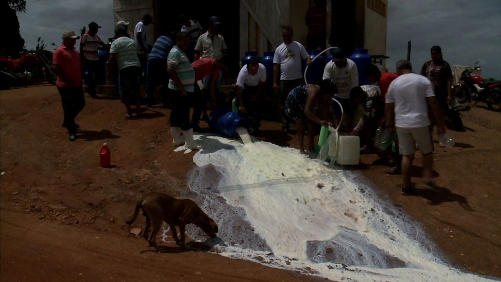 Sem ter como escoar a produção, produtores jogam leite fora em Mar Vermelho, Alagoas — Foto: Reprodução/TV Gazeta