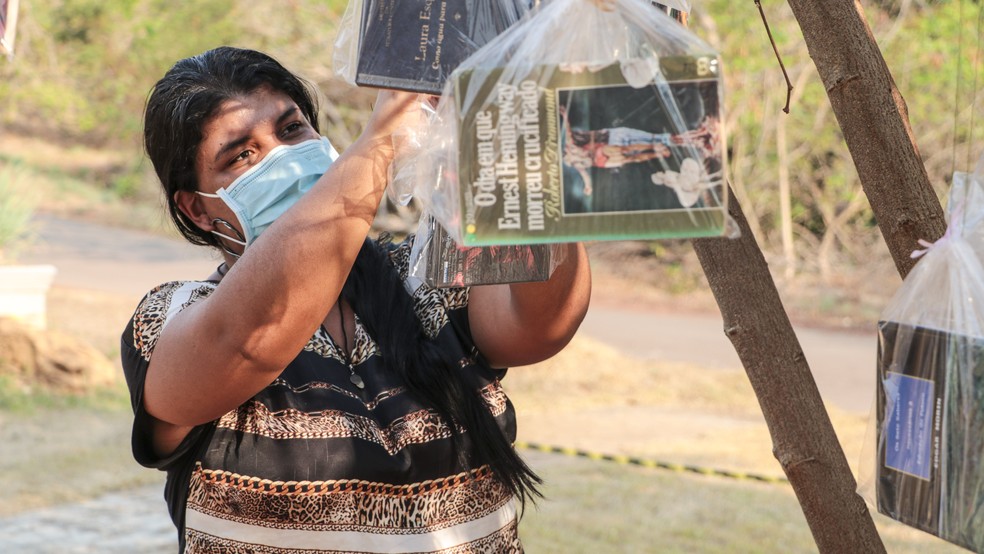 Árvore com livros fica no Espaço Cultural de Palmas — Foto: Júnior Suzuki/Prefeitura de Palmas
