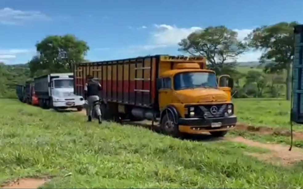 Cinco caminhões seriam usados para transportar gado roubado em fazenda de Arenópolis — Foto: Reprodução|TV Anhanguera
