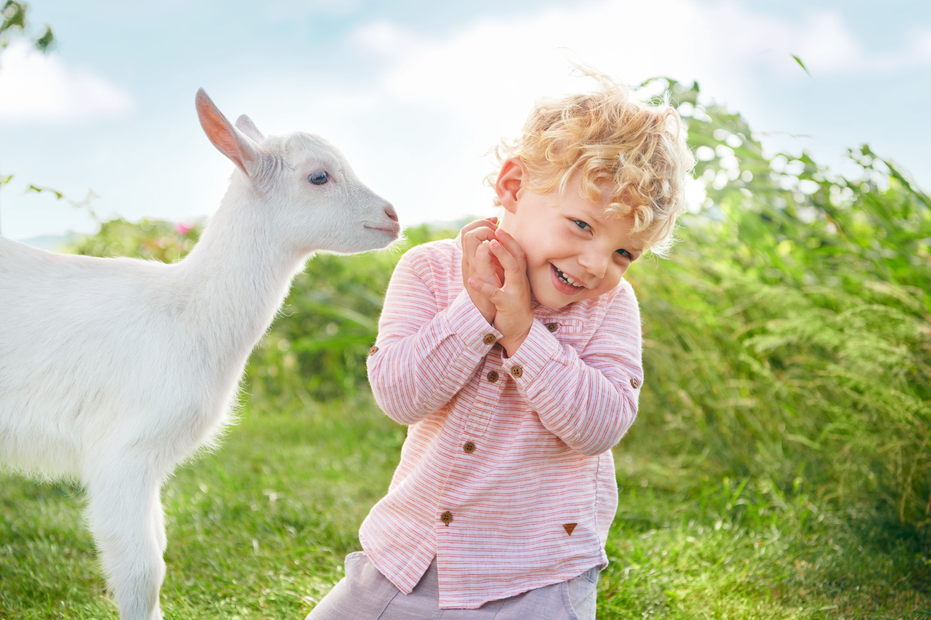 Gosto suave do leite de cabra facilita sua aceitação pelas crianças (Foto: Divulgação/Kabrimil)