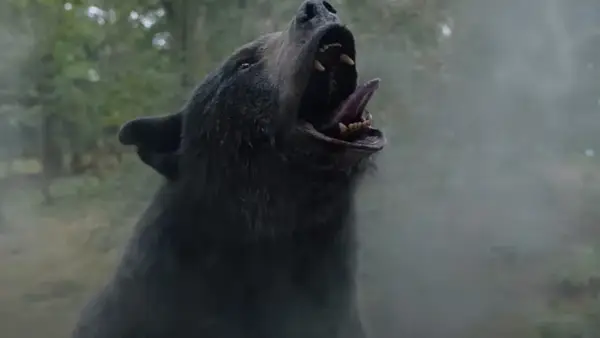 Cocaine Bear: urso drogado aterroriza pessoas em trailer de filme