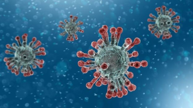 O novo vírus faz parte da família dos coronavírus, que inclui Sars e Mers (Foto: Getty Images via BBC)