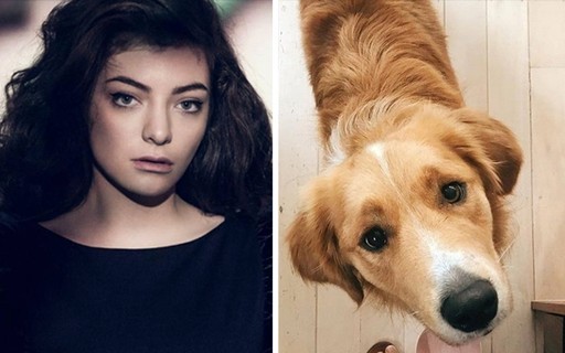 Lorde anuncia pausa na produção do novo álbum após morte de cachorro