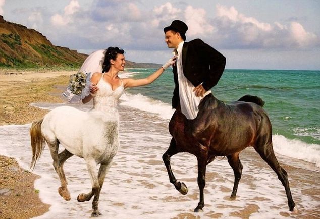 Montagem tosca: casal vira centauros e saem para se divertir na praia (Foto:  )