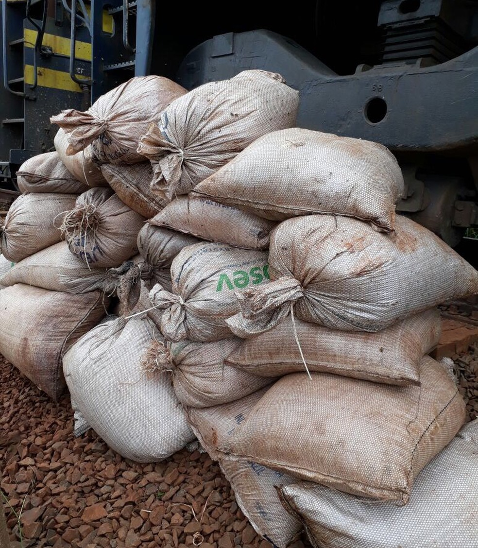 Sacas estavam em uma locomotiva que fica em um ponto fixo em Pederneiras (Foto: Polícia Civil / Divulgação )