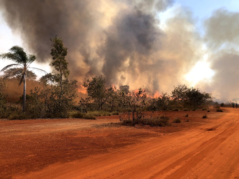 Incêndio no Parque Estadual do Juquery, em Franco da Rocha, na Grande SP — Foto: Divulgação/Secretaria Estadual de Infraestrutura e Meio Ambiente