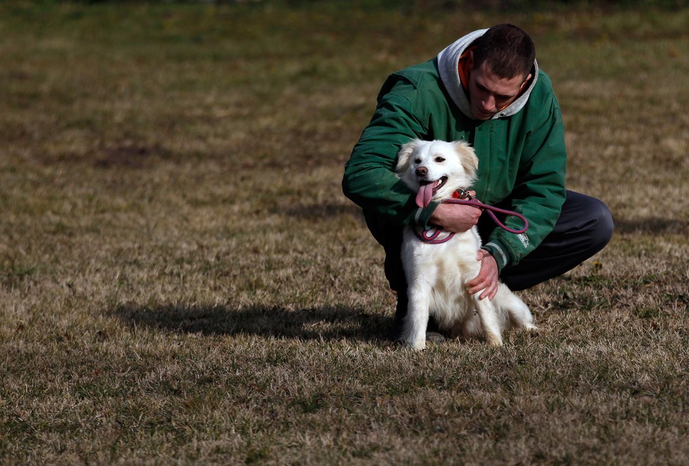 Presos cuidam de cachorros abandonados em cadeia na S&eacute;rvia &mdash; Foto: Darko Vojinovic/AP